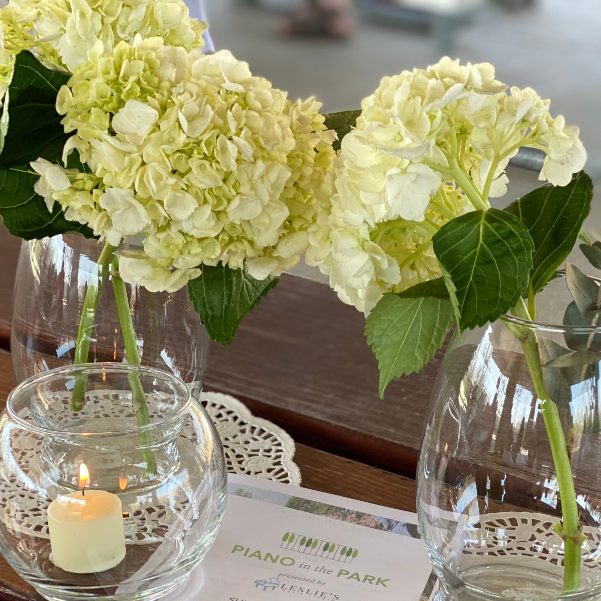 “Piano in the Park”&nbsp;Recital